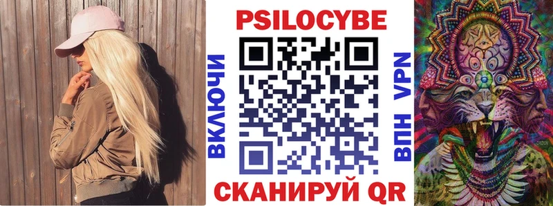 хочу   Ивдель  Псилоцибиновые грибы Psilocybine cubensis 